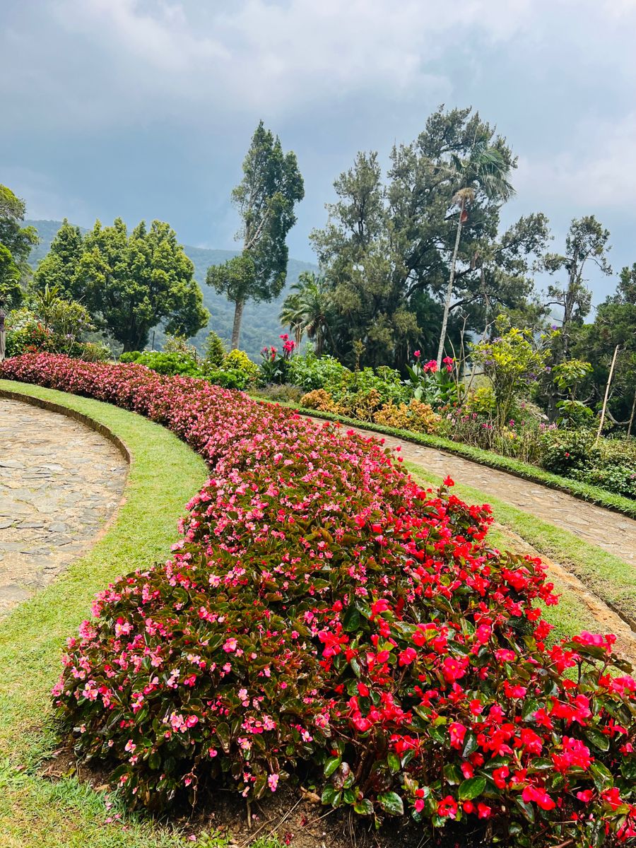 Thekkady Rose Park